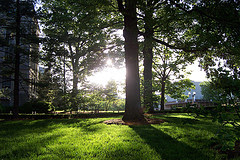 Колумбиад анх амьдарч эхэлсэн оюутны байрны дэргэд. University Heights гэдэг нэртэй. Колумбиа үнэхээр мод ихтэй шүү. Эхнэр маань маниас түрүүлж ирээд нэг ууланд ой модон дунд амьдарч эхэллээ гээд имэйлдэж байсан юм. columbia