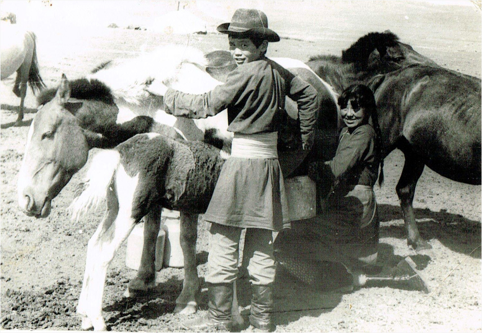 12 настай, адуучин болох хүсэлтэй поодгор хүү